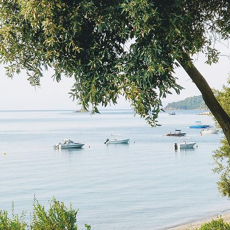 Maria Studios Skiathos エクステリア 写真