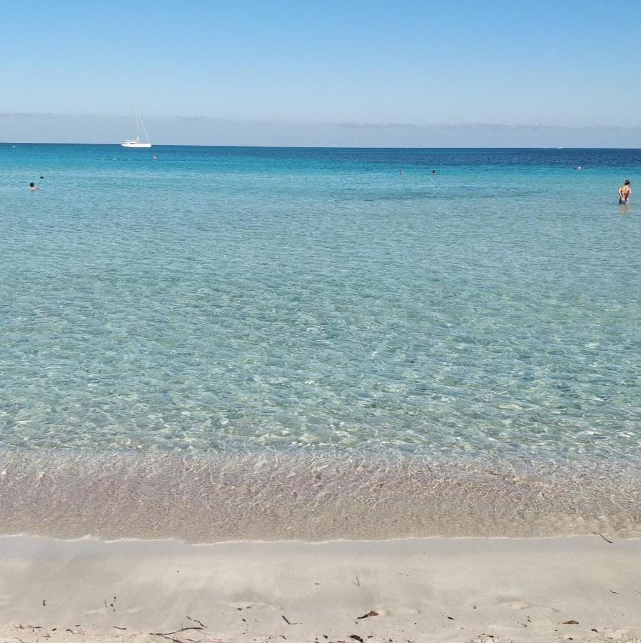 Maria Studios Skiathos エクステリア 写真