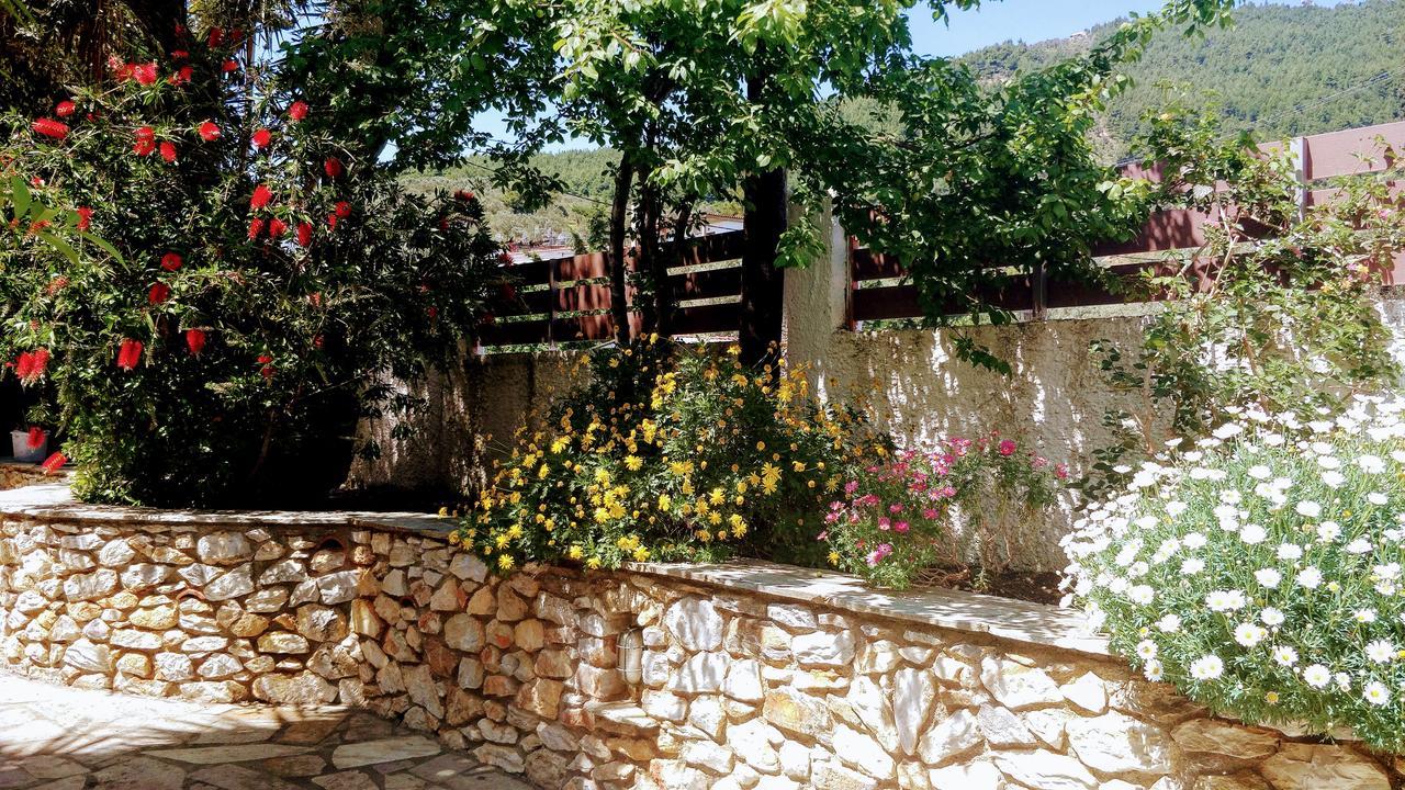 Maria Studios Skiathos エクステリア 写真