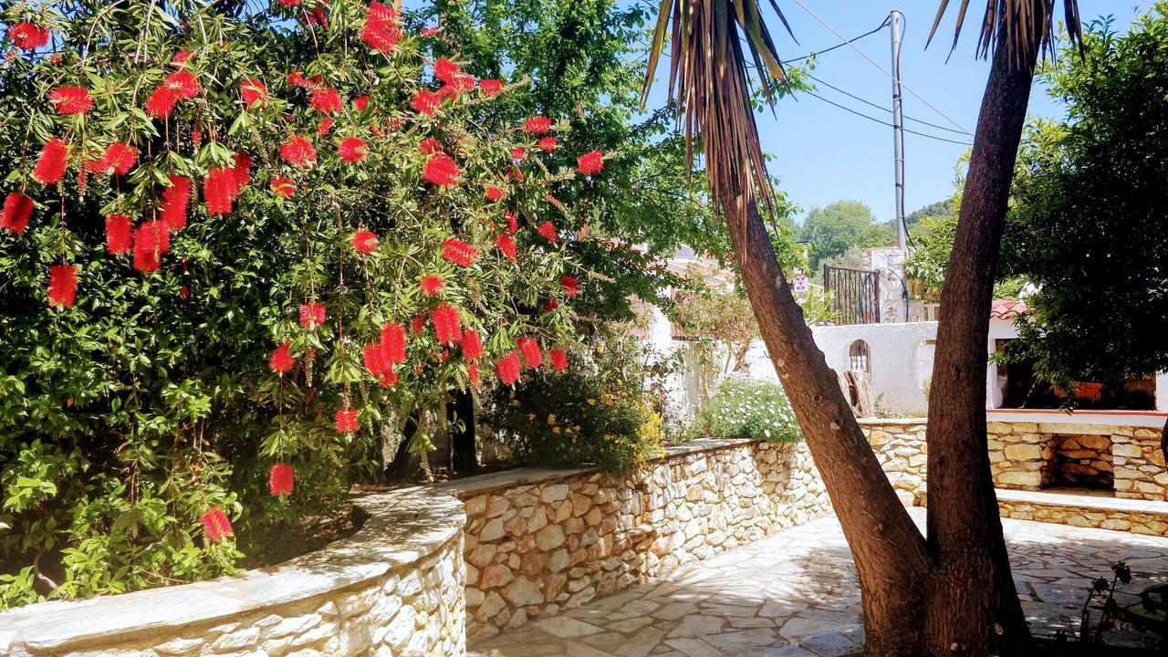 Maria Studios Skiathos エクステリア 写真